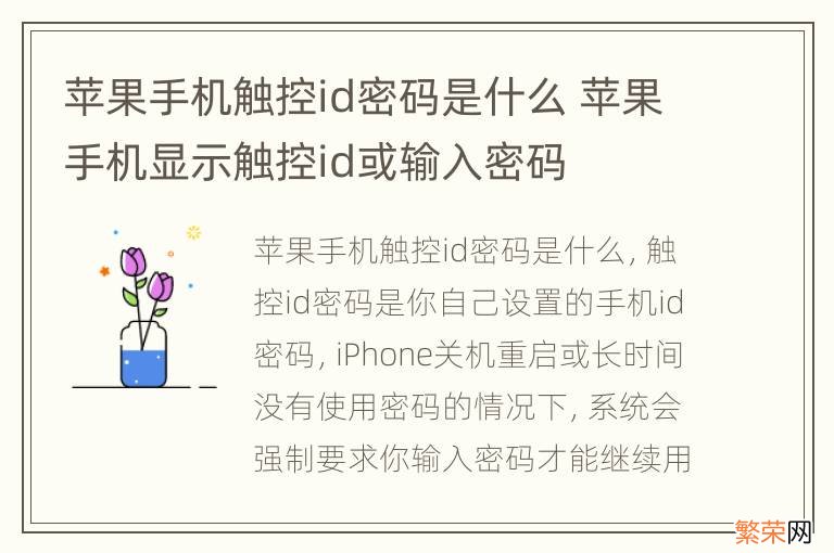 苹果手机触控id密码是什么 苹果手机显示触控id或输入密码