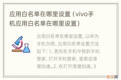 vivo手机应用白名单在哪里设置 应用白名单在哪里设置