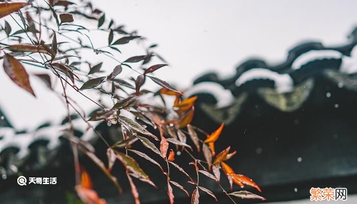 雨水是酸性还是碱性 雨是酸性吗