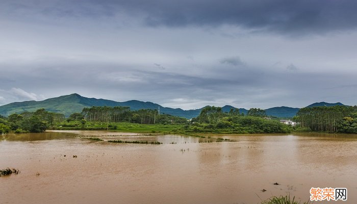 雨水是酸性还是碱性 雨是酸性吗