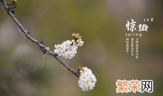 惊蛰是什么季节的节气 惊蛰是在什么季节的节气