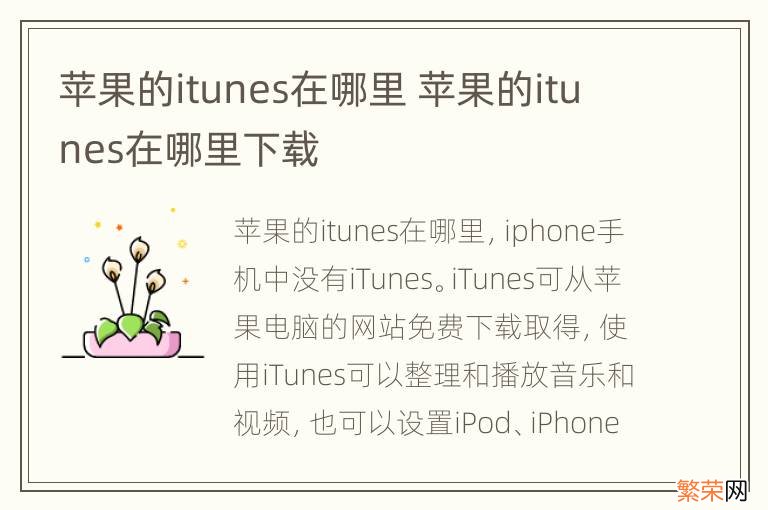 苹果的itunes在哪里 苹果的itunes在哪里下载