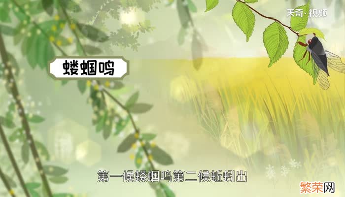 立夏三候是什么 立夏三候含义