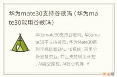 华为mate30能用谷歌吗 华为mate30支持谷歌吗