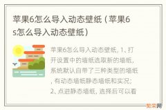 苹果6s怎么导入动态壁纸 苹果6怎么导入动态壁纸