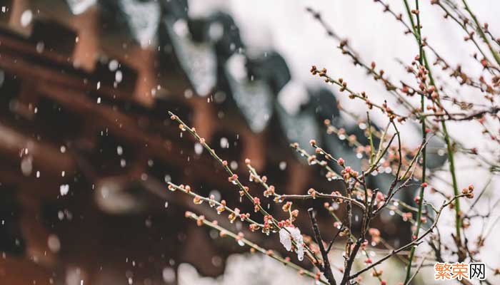 十里桃花的下一句是什么 十里桃花啥意思