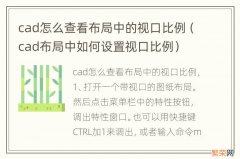 cad布局中如何设置视口比例 cad怎么查看布局中的视口比例