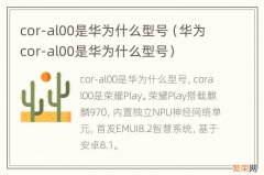 华为cor-al00是华为什么型号 cor-al00是华为什么型号