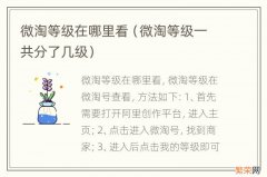 微淘等级一共分了几级 微淘等级在哪里看