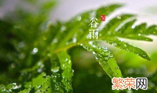 谷雨吃什么食物 有什么特别的食物