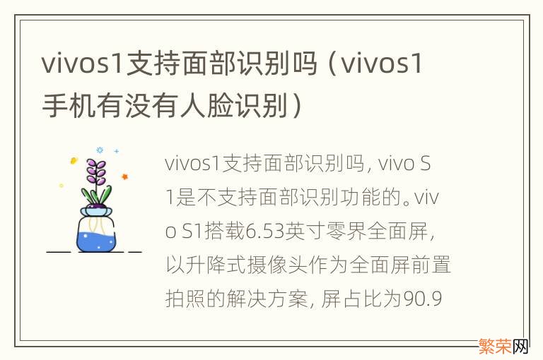 vivos1手机有没有人脸识别 vivos1支持面部识别吗