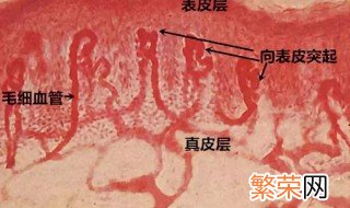 如何消除红血丝 消除红血丝的方法