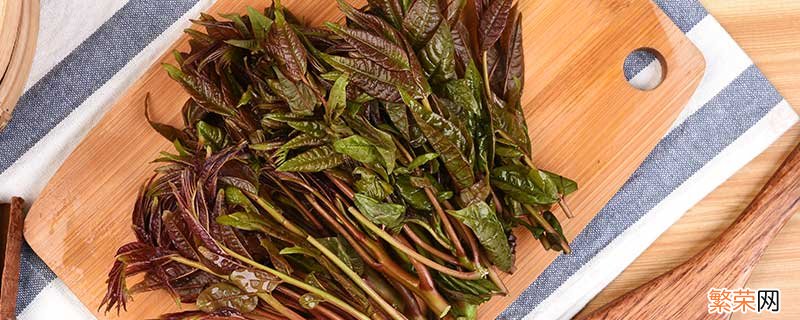 香椿芽的腌制方法 腌制香椿芽一定要焯水吗