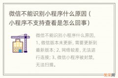 小程序不支持查看是怎么回事 微信不能识别小程序什么原因