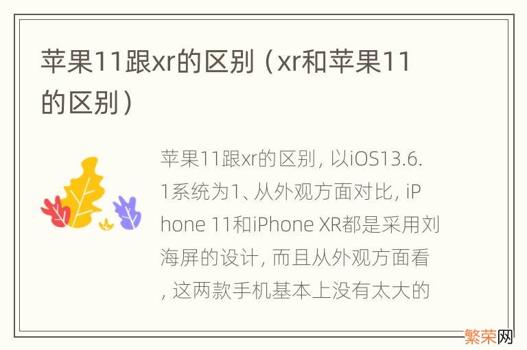 xr和苹果11的区别 苹果11跟xr的区别