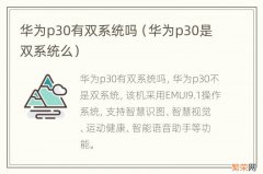 华为p30是双系统么 华为p30有双系统吗