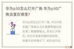 华为p30怎么打开广角 华为p30广角设置在哪里?