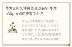 华为p30文件夹怎么改名字 华为p30pro如何更改文件名