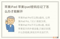 苹果iPad 苹果ipad密码忘记了怎么办才能解开