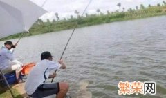 最简便的钓鱼方法 钓鱼高手都这么干