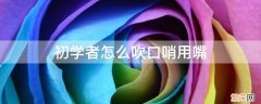 如何用嘴学吹口哨 初学者怎么吹口哨用嘴