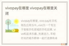 vivopay在哪里 vivopay在哪里关闭