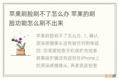 苹果刷脸刷不了怎么办 苹果的刷脸功能怎么刷不出来