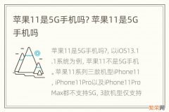 苹果11是5G手机吗? 苹果11是5G手机吗