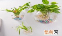 怎么做挂墙花盆 做挂墙花盆的方法