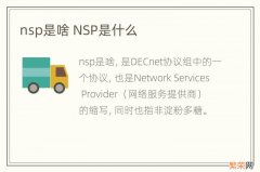 nsp是啥 NSP是什么