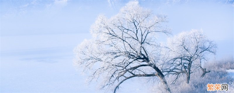 忽如一夜春风来千树万树梨花开是什么季节 忽如一夜春风来千树万树梨花开描写的什么季节