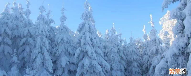 阵雪大还是小雪大 阵雪大不大