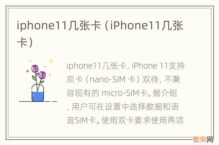 iPhone11几张卡 iphone11几张卡