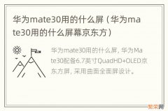 华为mate30用的什么屏幕京东方 华为mate30用的什么屏