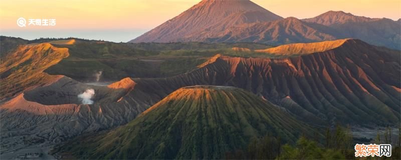 岩浆里有微生物吗 岩浆里有生物吗