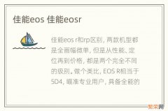 佳能eos 佳能eosr