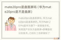 华为mate20pro是不是曲屏 mate20pro是曲面屏吗