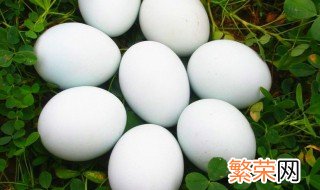 生的鹅蛋怎么保存 保存鹅蛋的方法