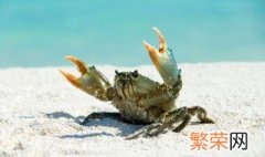 海蟹怎么保存新鲜 如何保存海蟹