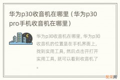 华为p30pro手机收音机在哪里 华为p30收音机在哪里