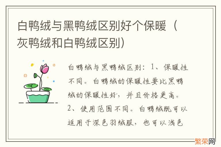 灰鸭绒和白鸭绒区别 白鸭绒与黑鸭绒区别好个保暖