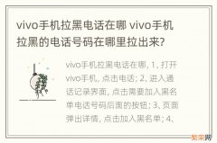 vivo手机拉黑电话在哪 vivo手机拉黑的电话号码在哪里拉出来?