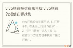 vivo拦截短信在哪里找 vivo拦截的短信在哪找到