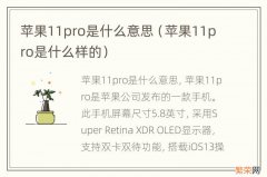 苹果11pro是什么样的 苹果11pro是什么意思