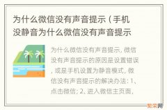 手机没静音为什么微信没有声音提示 为什么微信没有声音提示