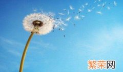 教师节的句子感谢老师的 教师节的句子感谢老师的推荐