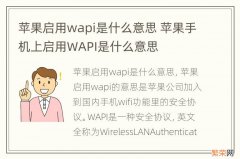 苹果启用wapi是什么意思 苹果手机上启用WAPI是什么意思