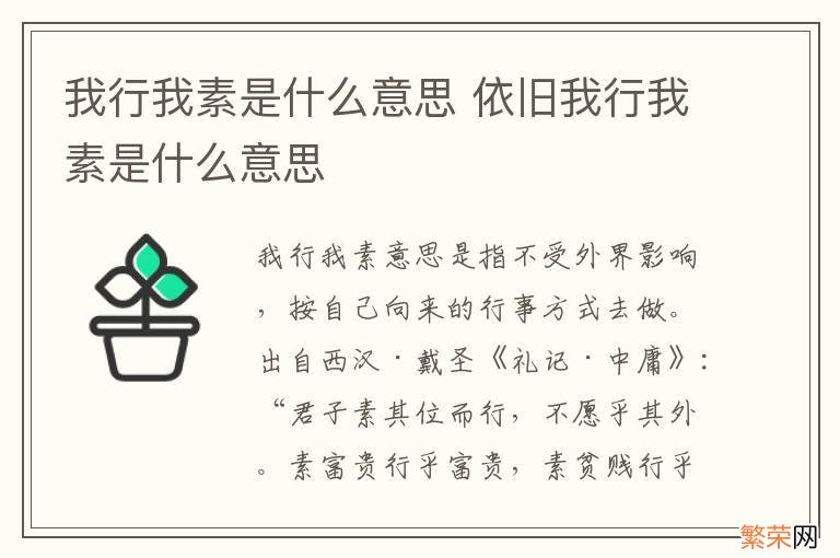 我行我素是什么意思 依旧我行我素是什么意思