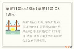 苹果11是iOS13吗 苹果11是ios13吗