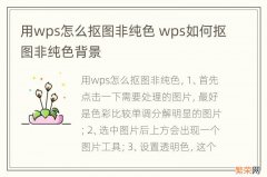 用wps怎么抠图非纯色 wps如何抠图非纯色背景